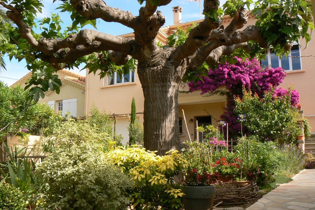 Bed and Breakfast L' Escale Tranquille Sète Esterno foto
