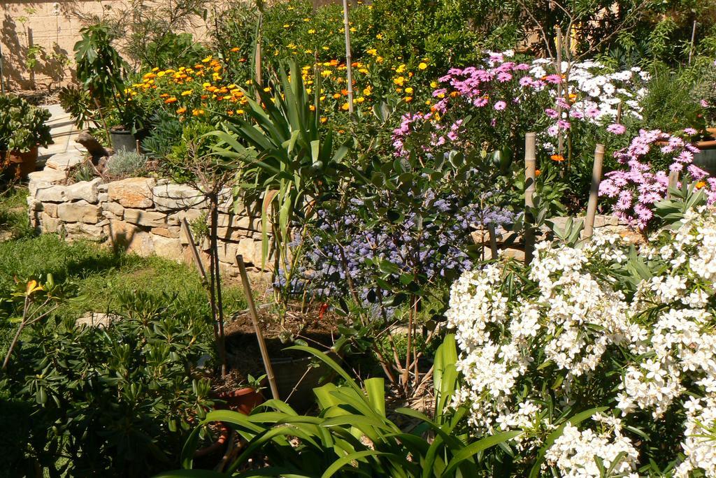 Bed and Breakfast L' Escale Tranquille Sète Esterno foto